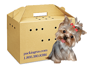 Pet Carrier Box 18.5" x 10" x 12" (1.2 c/f)